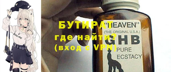 хмурый Аркадак