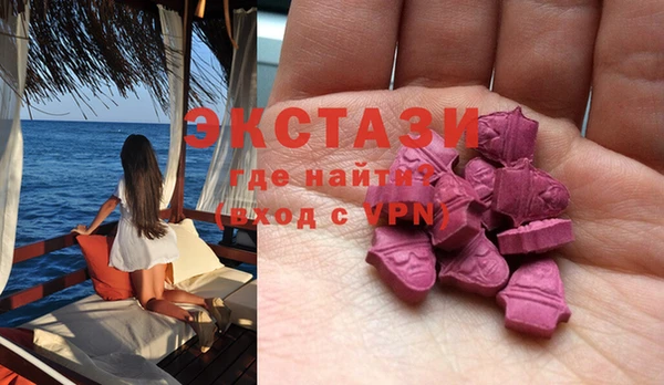 хмурый Аркадак