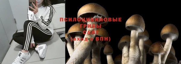 стафф Армянск