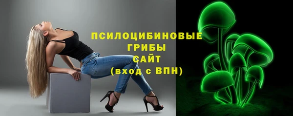 спиды Алексин