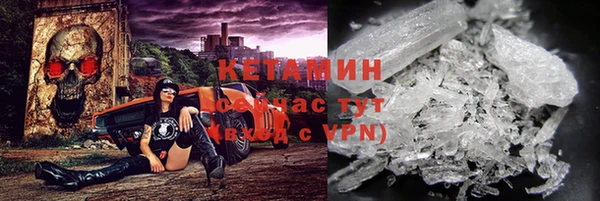 хмурый Аркадак