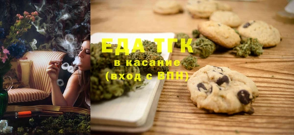 хмурый Аркадак