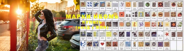 хмурый Аркадак