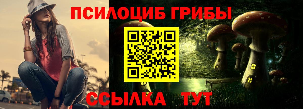 Галлюциногенные грибы Psilocybine cubensis Аша